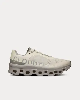Cloudmonster Ice / Alloy Running Shoes
