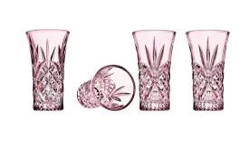 S/6 Dublin Blush Shooters